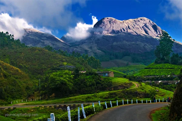 Munnar, kerala : Best Places to visit in kerala