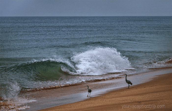 Best Places to Visit in Junagadh :Madhavapur Beach, Junagadh