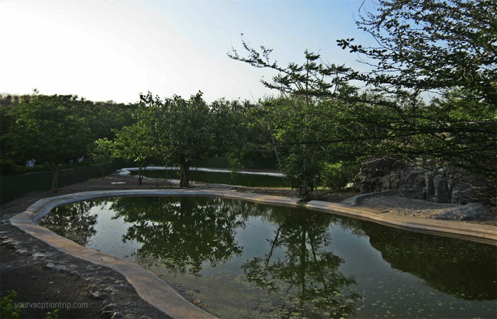Pradhyuman Zoological Park : Must visit places in Rajkot
