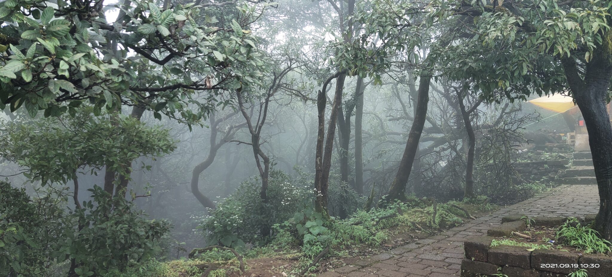 Mahabaleshwar
