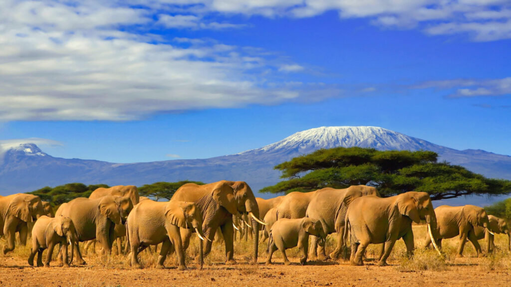 Luxury Travel Destinations