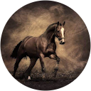 Sk Patel profile picture