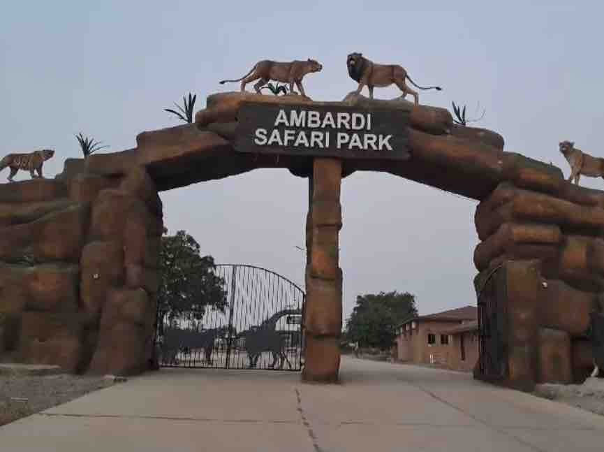 ambardi safari park