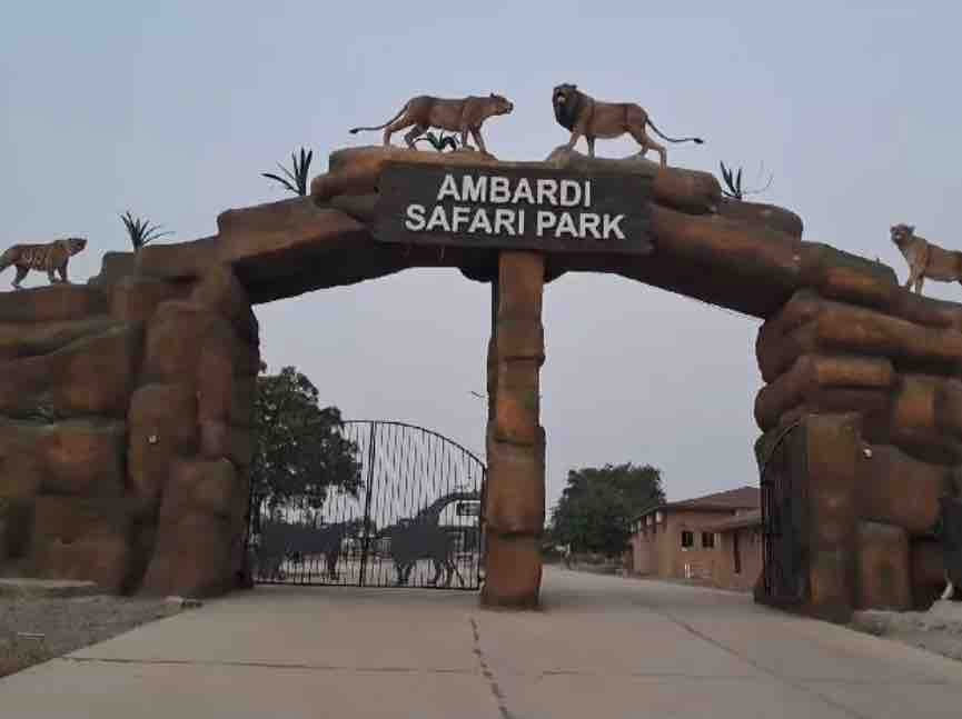Ambardi Safari Park