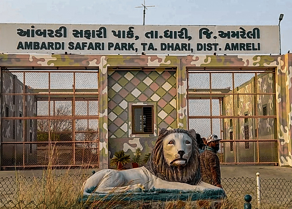 Ambardi Safari Park
