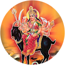 Jashvant Darji profile picture