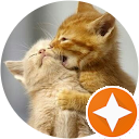 HappyV Channel profile picture